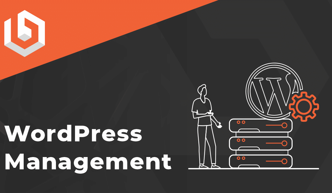 WordPress Website Management
